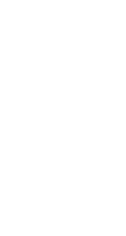 loader image